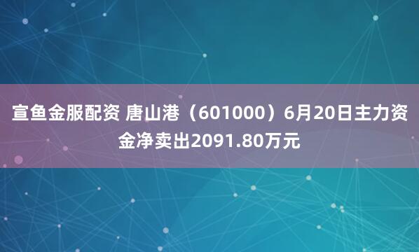 宣鱼金服配资 唐山港（601000）6月20日主力资金净卖出2091.80万元
